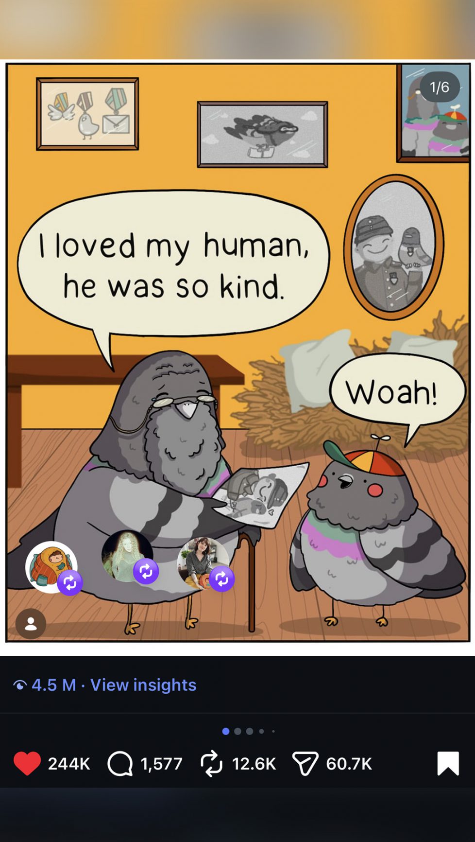 Mrs Frollein Pigeon Dreams